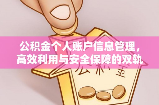 龟山公积金个人账户信息管理，高效利用与安全保障的双轨并行