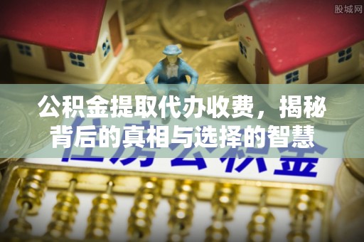 龟山公积金提取代办收费，揭秘背后的真相与选择的智慧