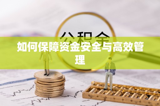 龟山如何保障资金安全与高效管理