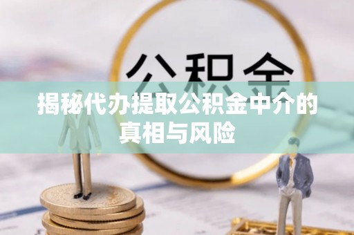 龟山揭秘代办提取公积金中介的真相与风险