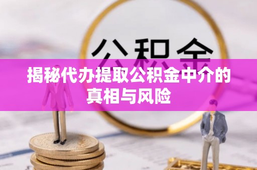 龟山揭秘代办提取公积金中介的真相与风险