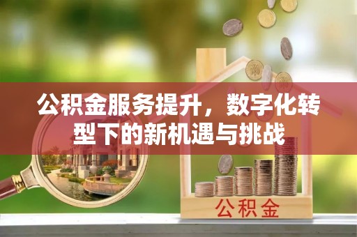 龟山公积金服务提升，数字化转型下的新机遇与挑战
