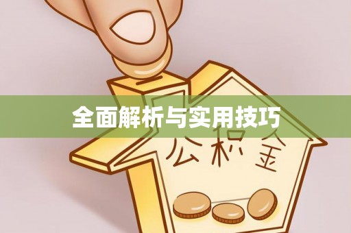龟山全面解析与实用技巧