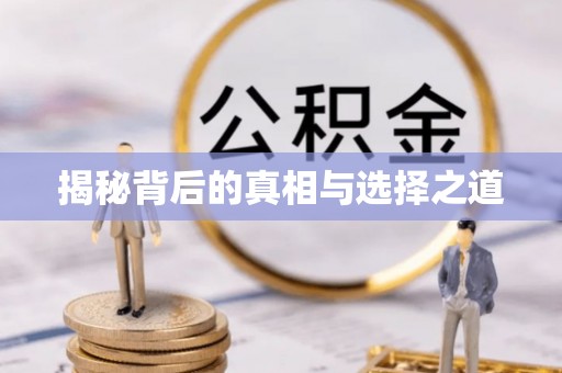 龟山揭秘背后的真相与选择之道