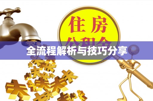 龟山全流程解析与技巧分享