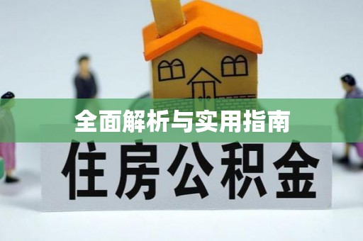 龟山全面解析与实用指南